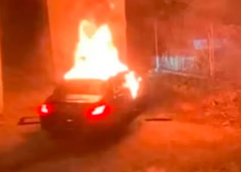 Затримання сина посла України в Болгарії: деталі резонансного вбивства у Відні